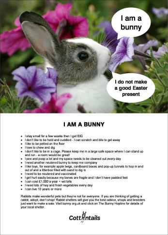 I am a bunny with outline JPEG