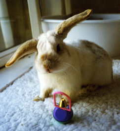 Sweetpea with kelly 3