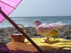 328230c475e53bed5563adb0b5f8df65