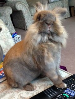 4941acceceecd69926ad259b76728d90