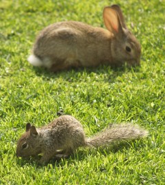 496413510_1b3a81bdd4_b