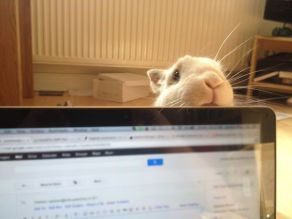 5773de8feee2456fdda54560609455d2