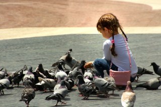 Girl-feeding-pigeons-by-Carlos-Gotay