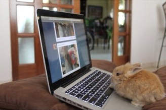 tumblr_mqi8lr6SvO1qdedm3o1_r1_500