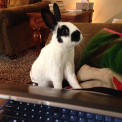 tumblr_nb2p5k3obz1qax7z4o1_500