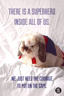 bunny superhero cape