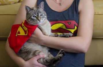 jan-ghosty-at-home-cape-looking-at-cam