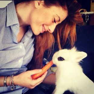 260a24f553a81e38b78cfb4d2845bc49