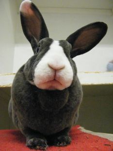 475366477db531aacec3bee0166ea1bd