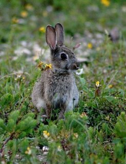 47izMsZUeEvEgMVgIdBF4eaRIWs