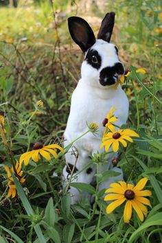 babacabc24236d7c0380f969d213bdaa