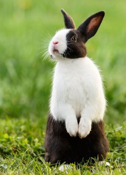 e01eea8d4b10094e782c9fcca24c31d2