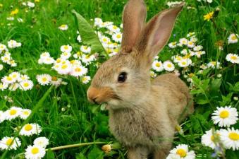 a8ae0d42dcabd5e79271e1d6fabc6680