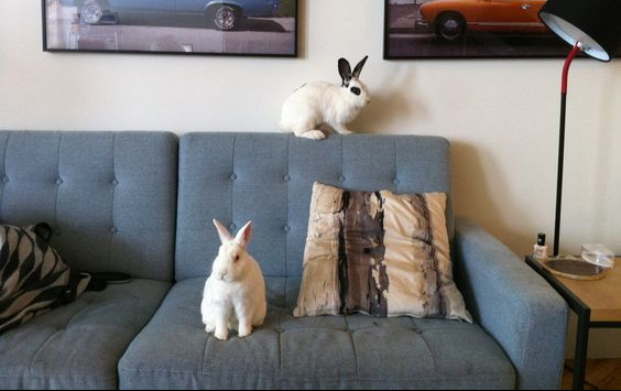 b7aa3dde2bc6c6451cc3f79de3c42581 (1)