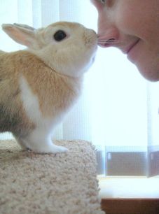 9847e0ac198967b7495878fb102f2b75