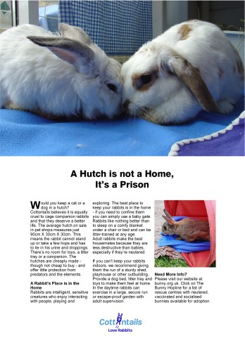 A hutch is not a home, it's a prison
