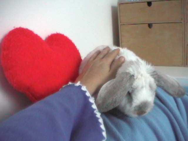 Bunnies November 2003 105