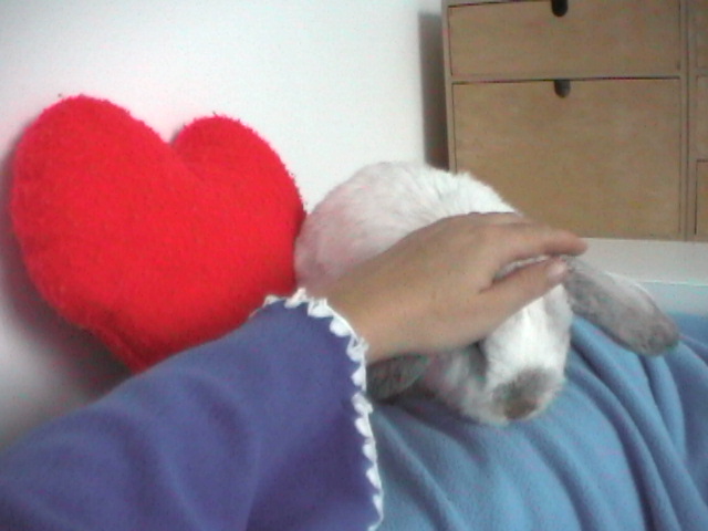 Bunnies November 2003 107