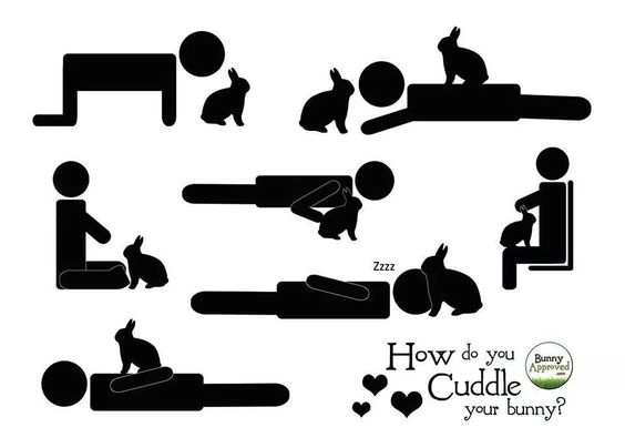 d887a678aa02a7f42dd8d18c9ab63f39